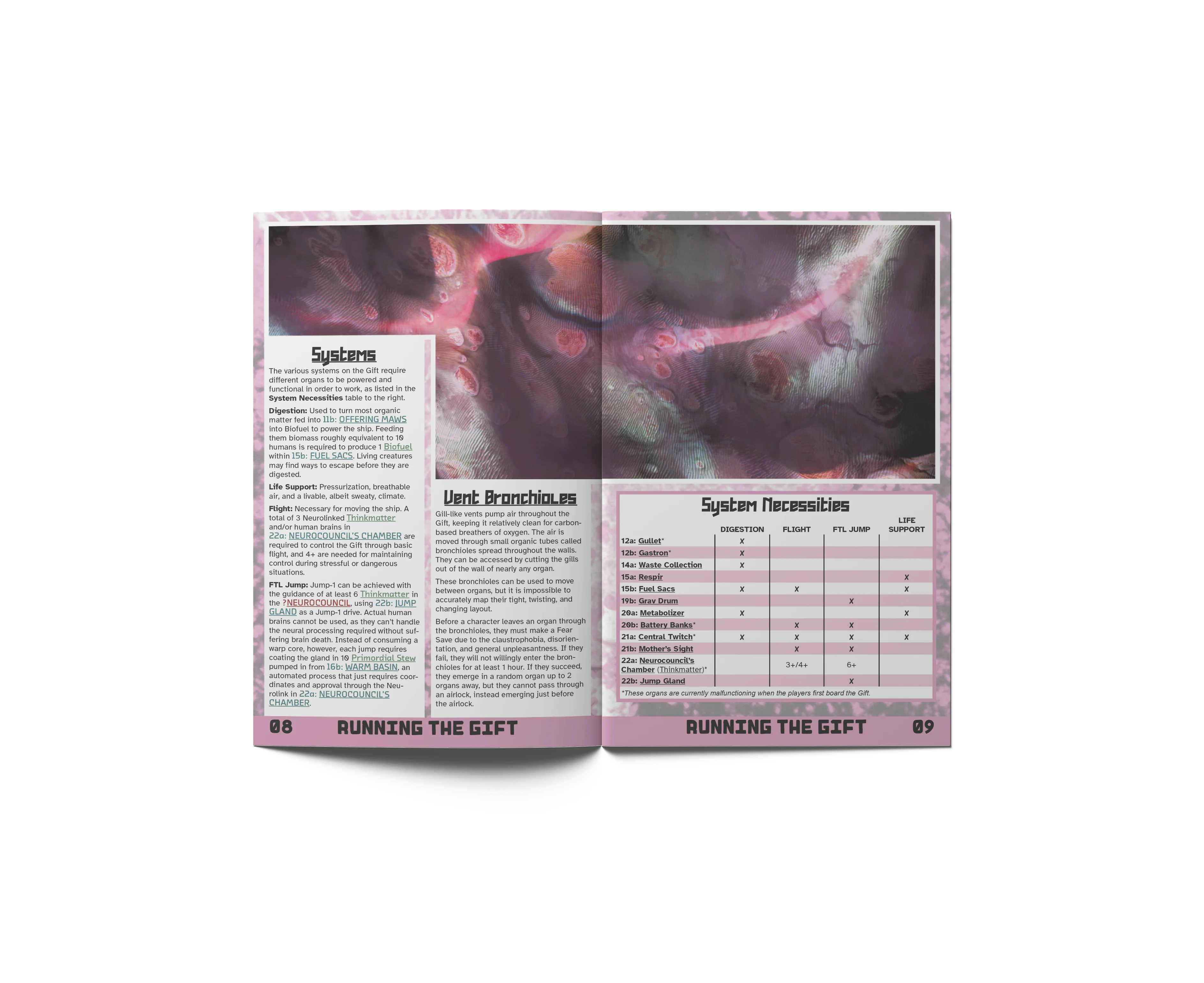 The Stone Flesh Gift - Image 3